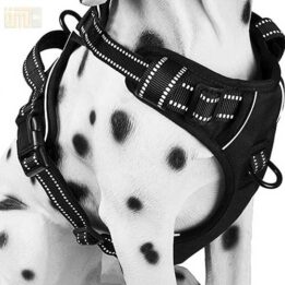 Pet Factory wholesale Amazon Ebay Wish hot large mesh dog harness 109-0001 www.gmtpet.net