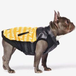 Pet Dog Clothes Vest Padded Dog Jacket Cotton Clothing for Winter gmtpet.net