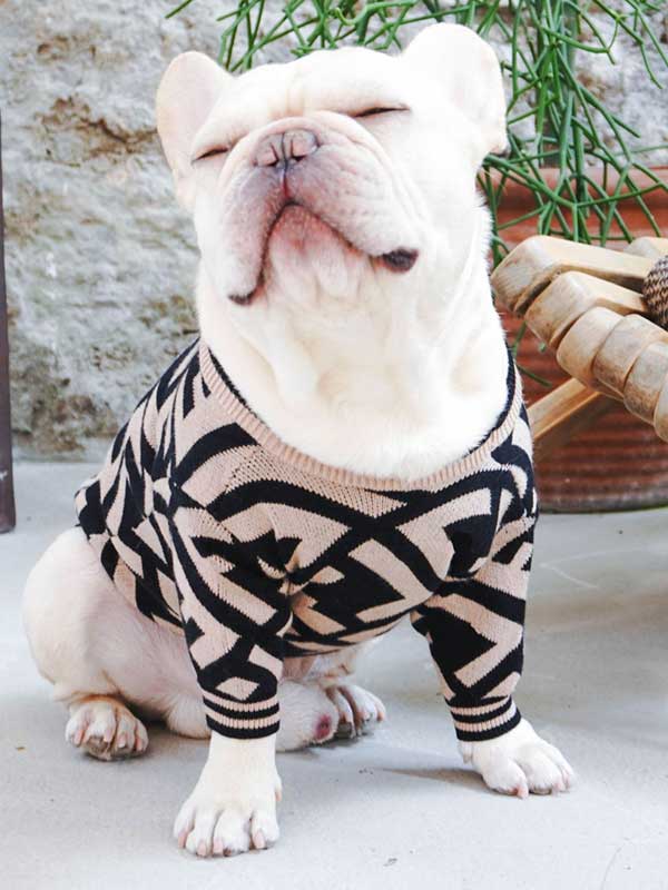 Оптовый поставщик одежды для домашних животных Роскошный вязаный свитер для собак Теплая зимняя одежда для собак 06-1392 gmtpet.net