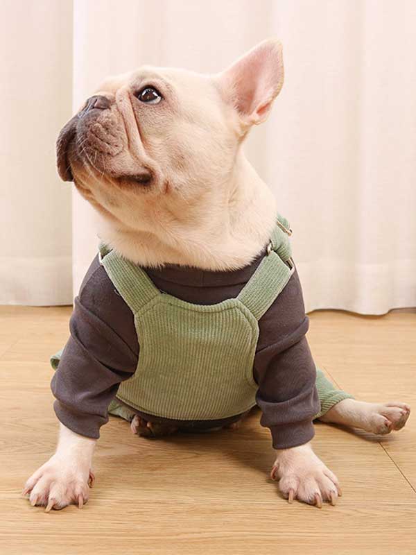 GMTPET French fighting clothes high elastic comfortable solid color plus velvet thick bottoming shirt T-shirt bulldog dog clothes 107-222016 gmtpet.net