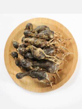 OEM & ODM Pet food freeze-dried Quail for dog and cat 130-072 www.gmtpet.net