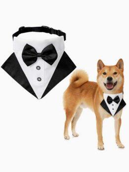 Wedding suit pet drool towel dog collar pet triangle towel pet bow tie wedding suit triangle towel 118-37007 gmtpet.net