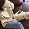 Wholesale Stripe Cotton Vest Dog T Shirt Embroidery Clothes 06-0488