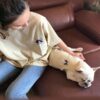 Wholesale Stripe Cotton Vest Dog T Shirt Embroidery Clothes 06-0488