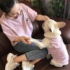 Wholesale Stripe Cotton Vest Dog T Shirt Embroidery Clothes 06-0488